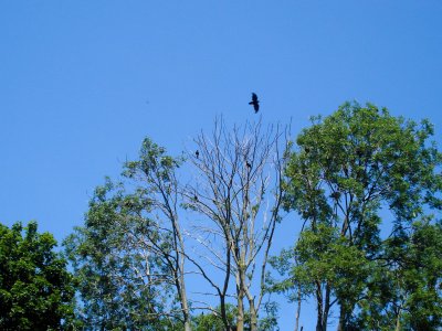 Wojsławickie Klimaty - galeria zdjęć
